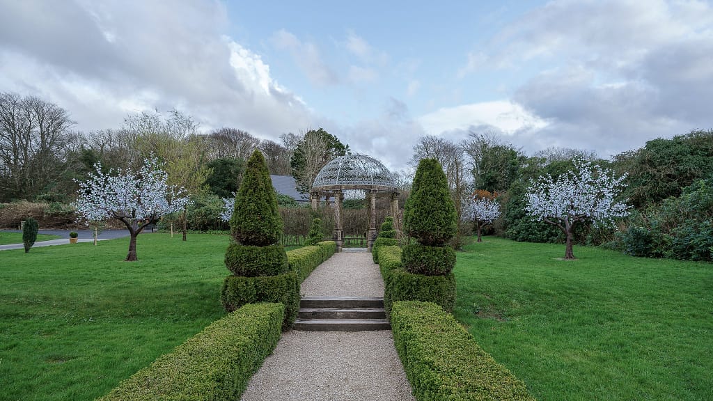 The beautiful garden with cherry trees in full bloom