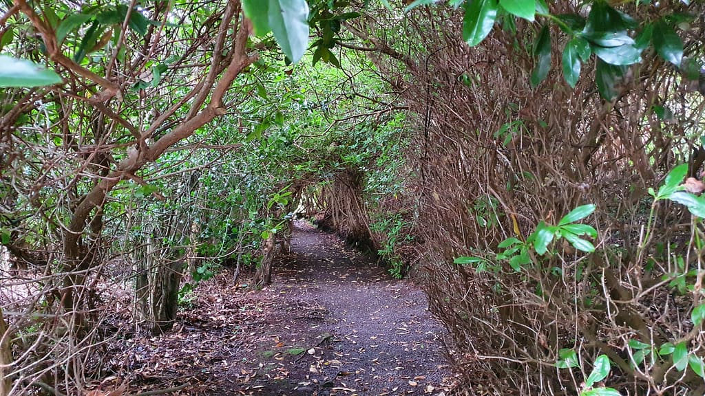 A path through Carrig Country House's gardens