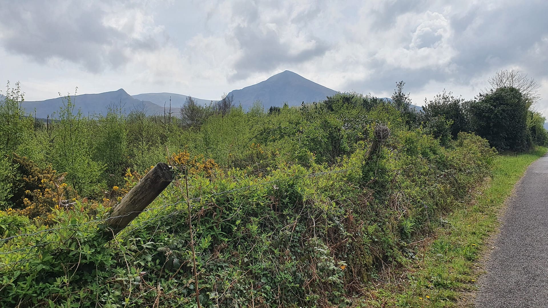 With beauty before me I walk