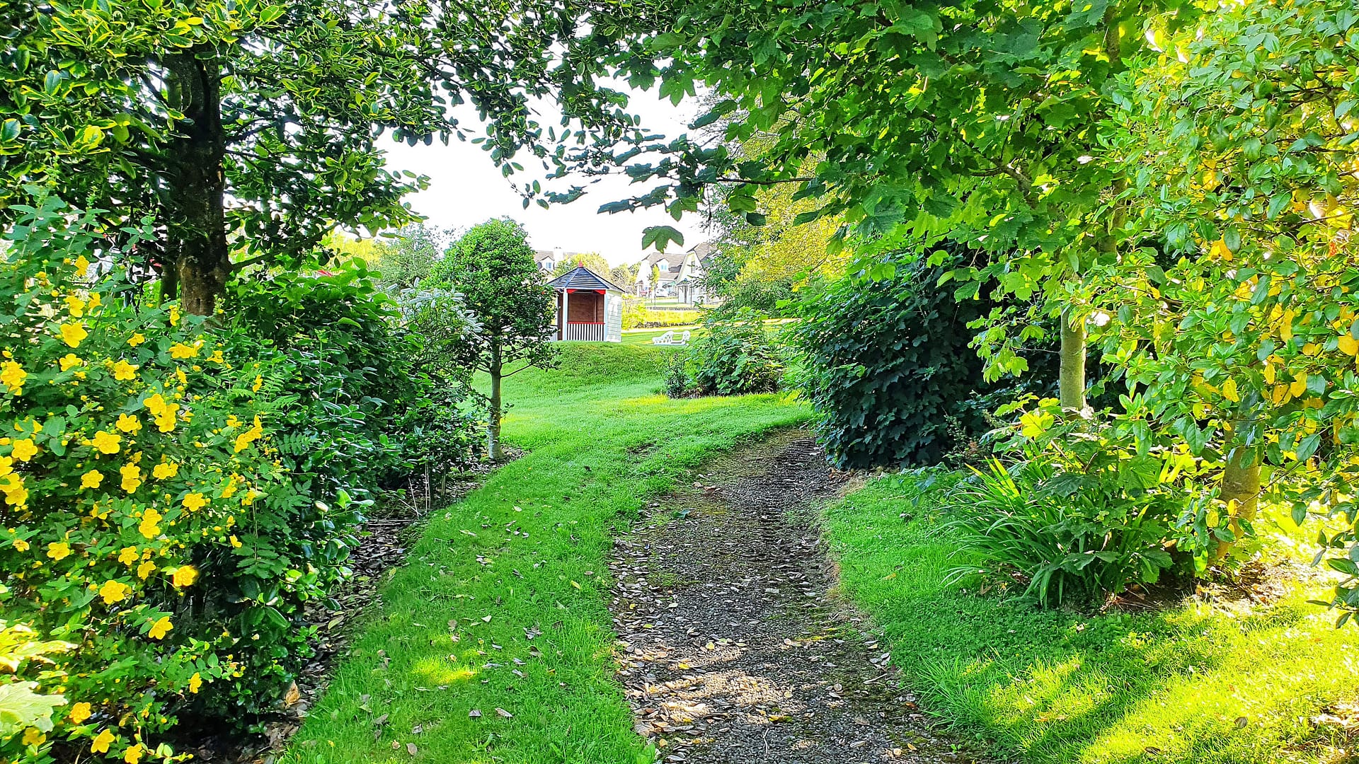 A pathway through the garden.