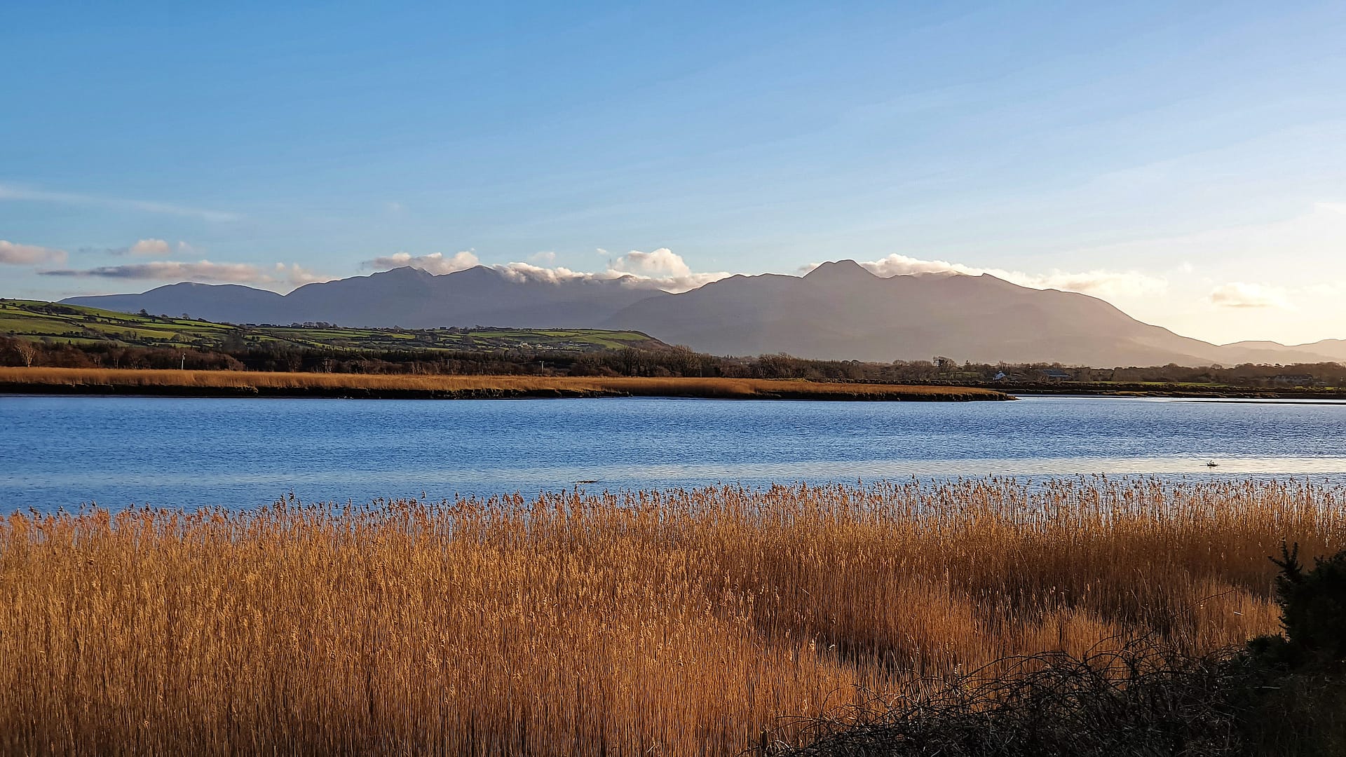 The estuary of the Maine River with the McGillicuddy Reeks mountains in the background